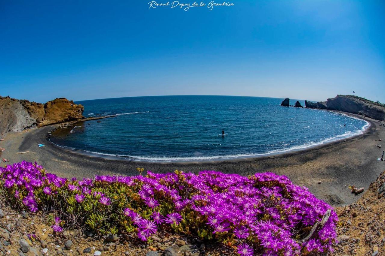 Eurogestion Pinede Apartment Agde Bagian luar foto